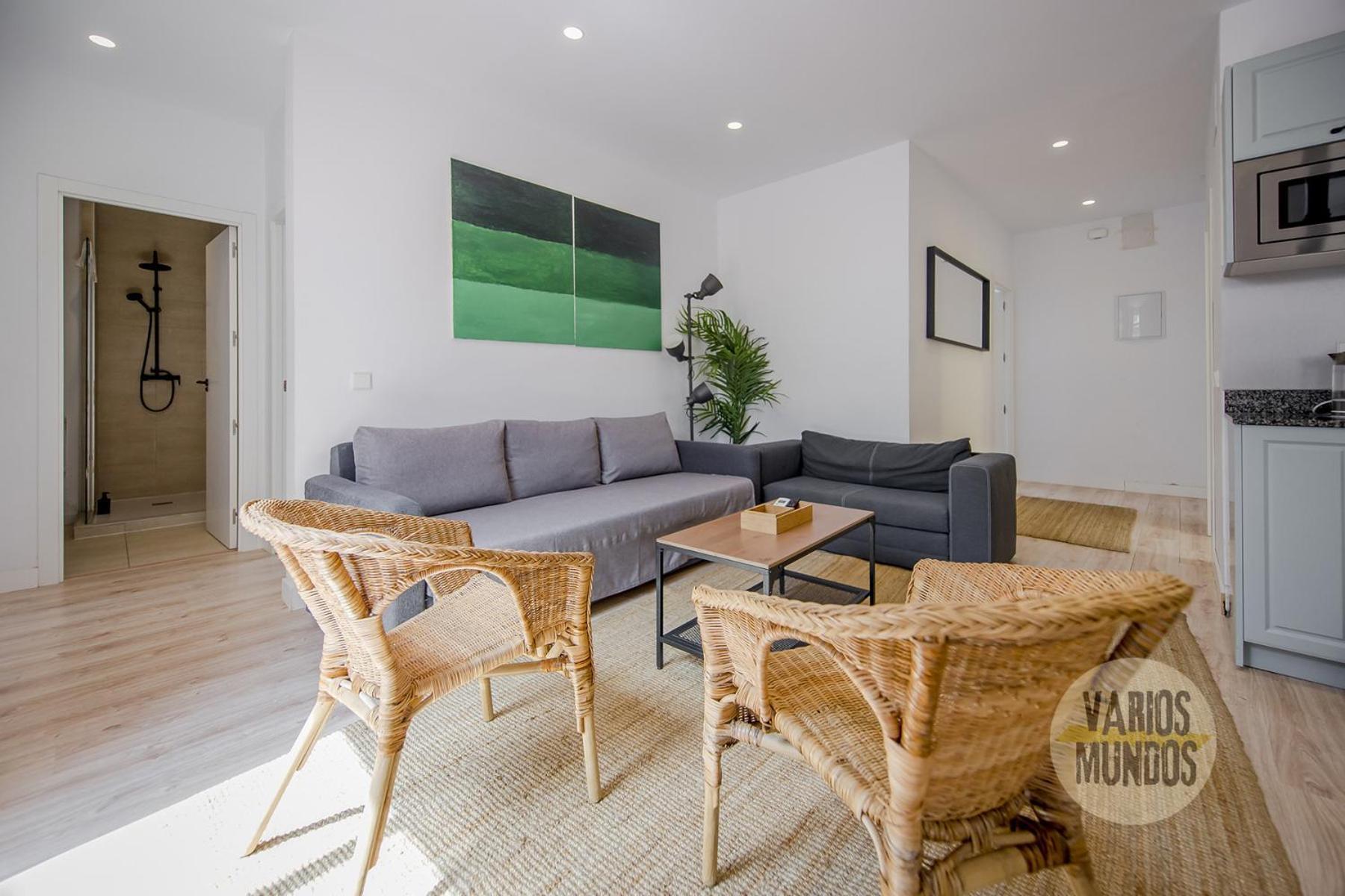 Atico X9 Pax Con Gran Terraza En El La Latina Leilighet Madrid Eksteriør bilde